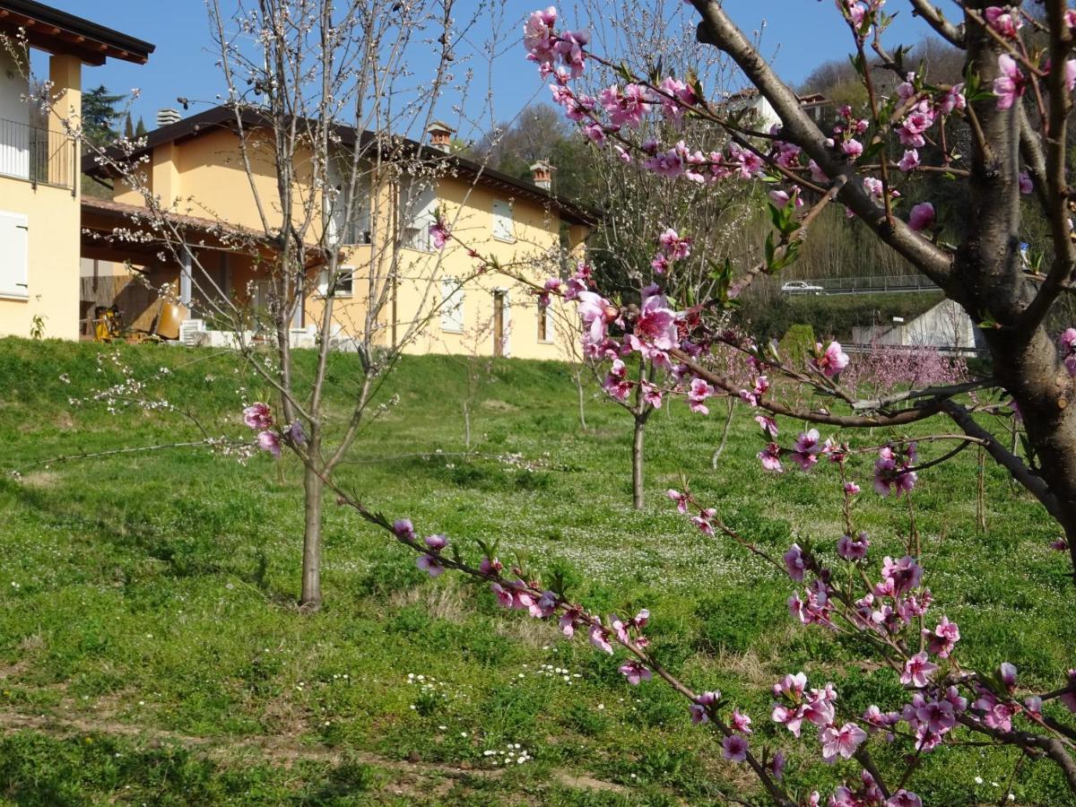 דירות Villanuova sul clisi Cascina Legnago Trilocale A 6 Chilometri Da Salo' מראה חיצוני תמונה