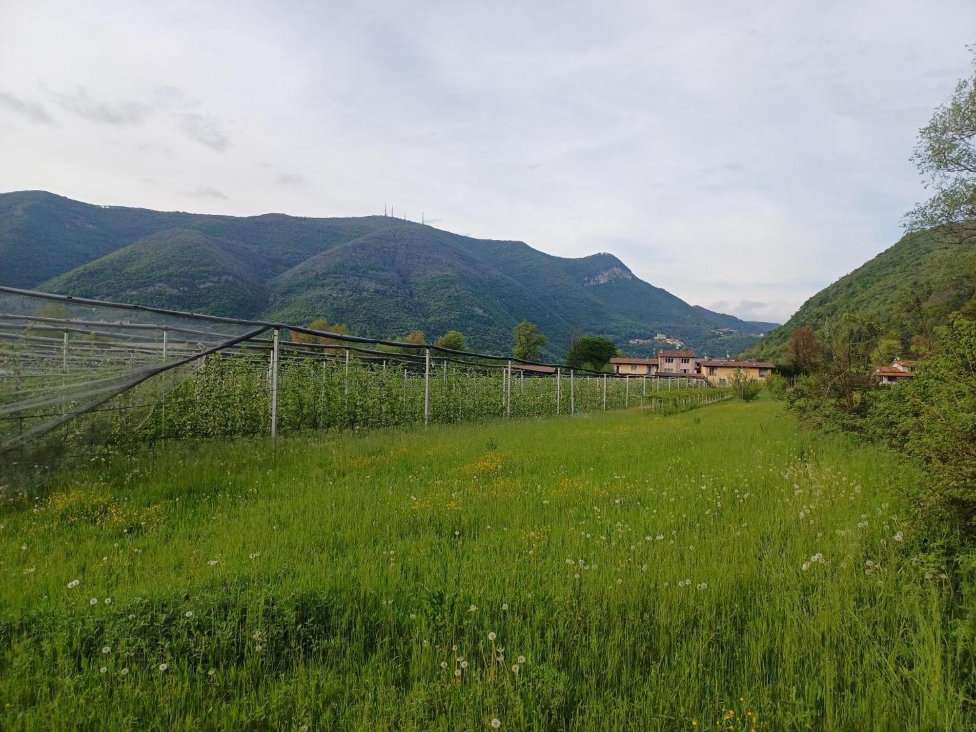 דירות Villanuova sul clisi Cascina Legnago Trilocale A 6 Chilometri Da Salo' מראה חיצוני תמונה